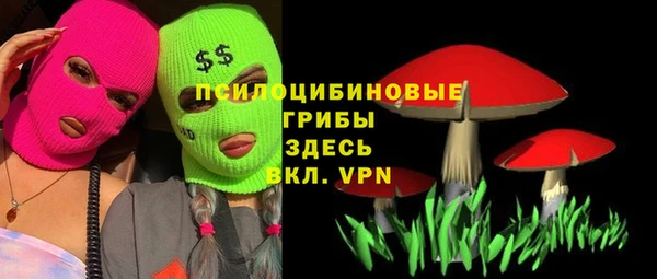 хмурый Протвино