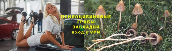 хмурый Протвино