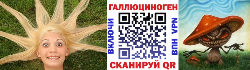 Галлюциногенные грибы мухоморы  как найти   Инза 